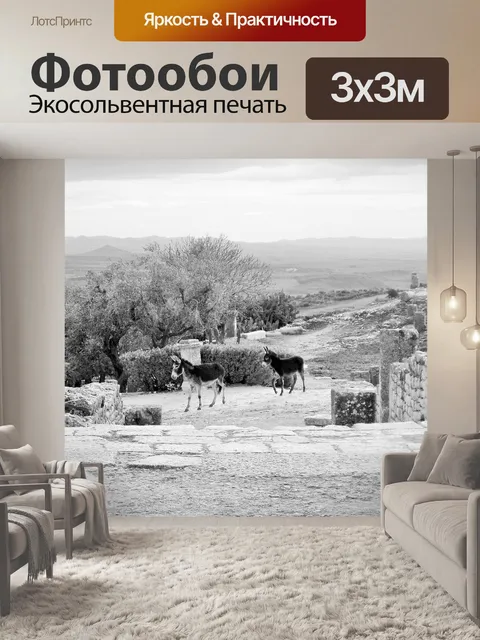 Фотообои Черный и белый