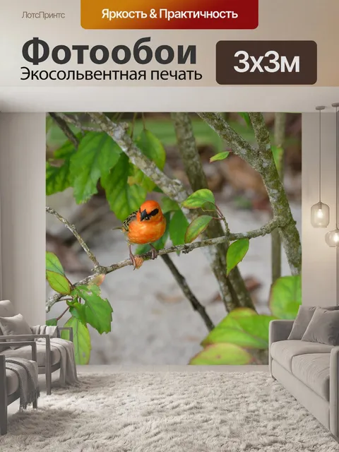 Фотообои Сейшелы