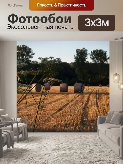 Фотообои Тюки соломы на поле