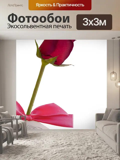 Фотообои Красная роза с приглашением