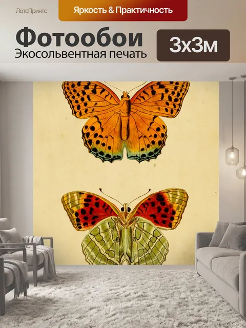 Фотообои Бабочка Винтаж Иллюстрация