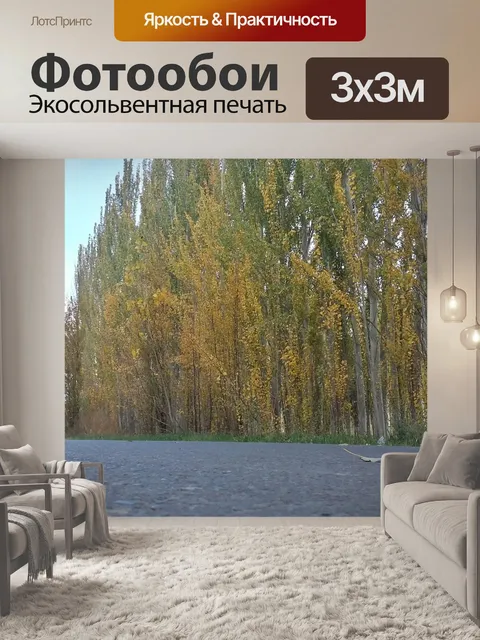 Фотообои Путь