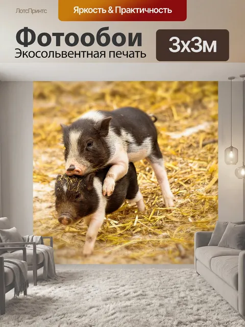 Фотообои Поросенок