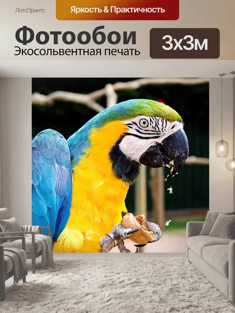 Фотообои Красочный