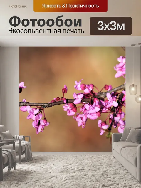 Фотообои Красное дерево цветет крупным планом 2