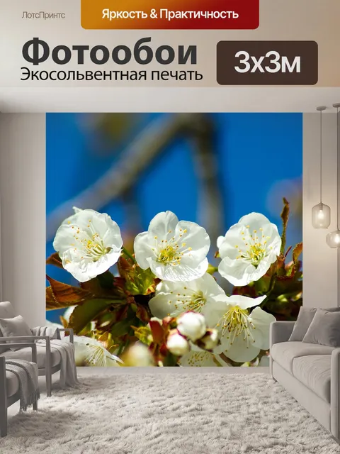 Фотообои Цветы
