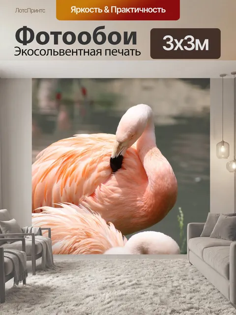 Фотообои Фламинго