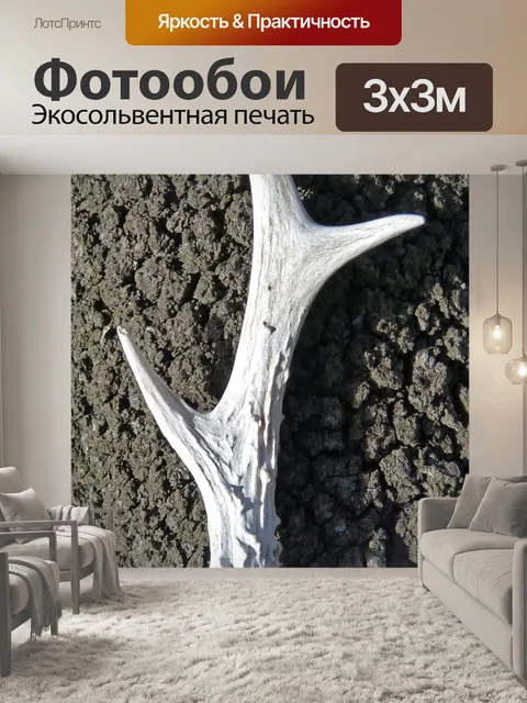 Фотообои Рог косули