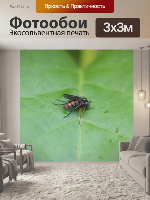 Фотообои Ошибка на листе