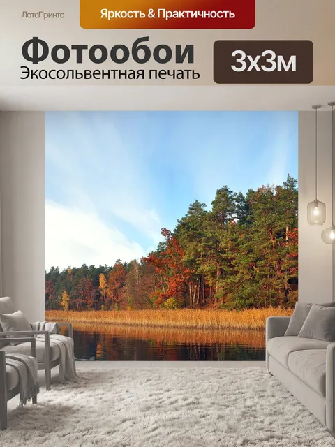 Фотообои Мокрое озеро