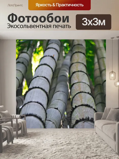 Фотообои Ствол