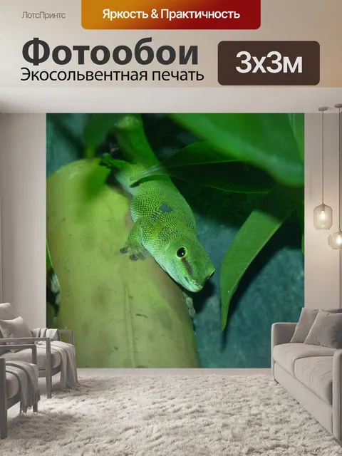 Фотообои Светло-зеленый