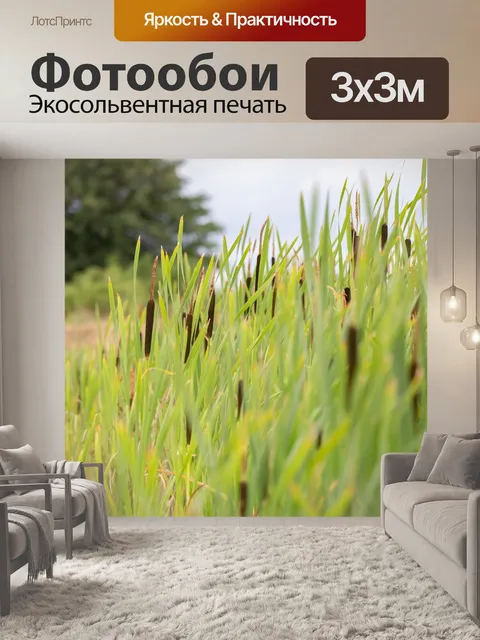 Фотообои Берегу реки сорняков