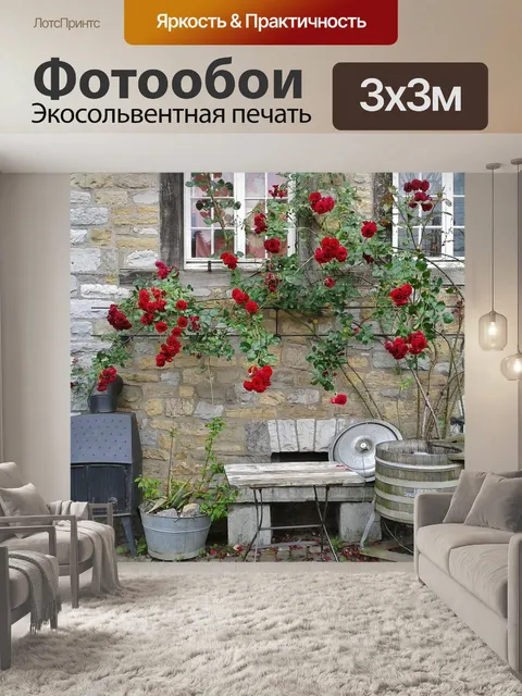 Фотообои Плетистая роза
