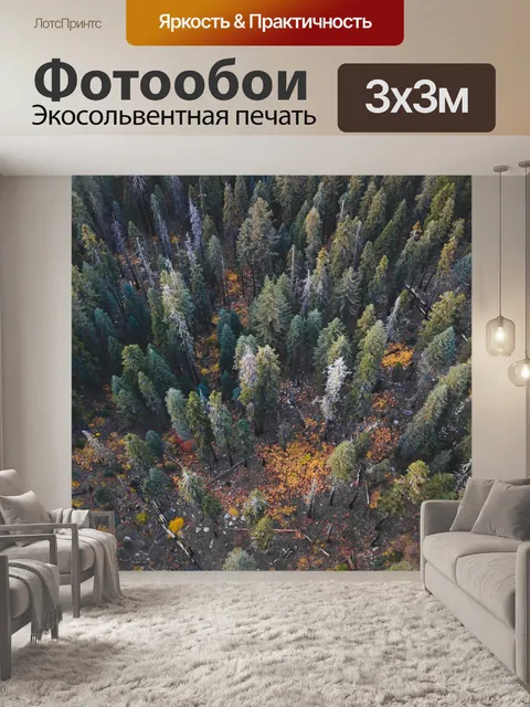 Фотообои Лес