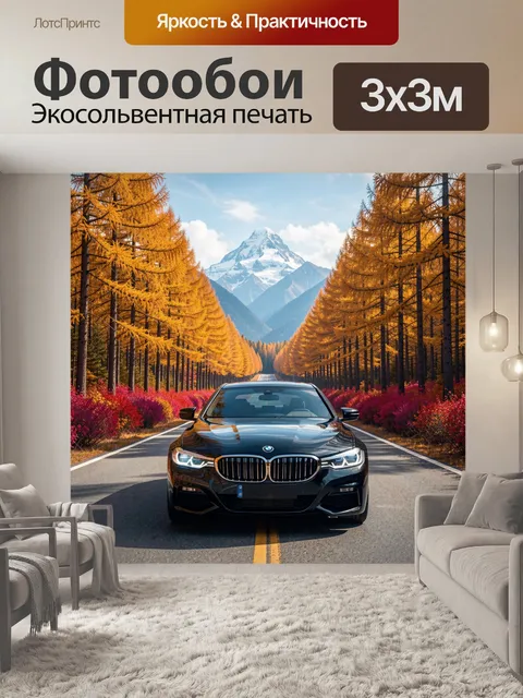 Фотообои Черный седан на лесной дороге