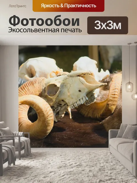 Фотообои Череп