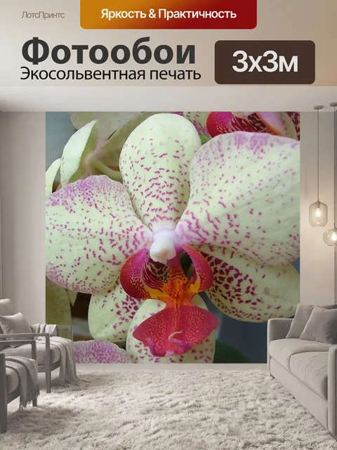 Фотообои Белые и розовые цветы