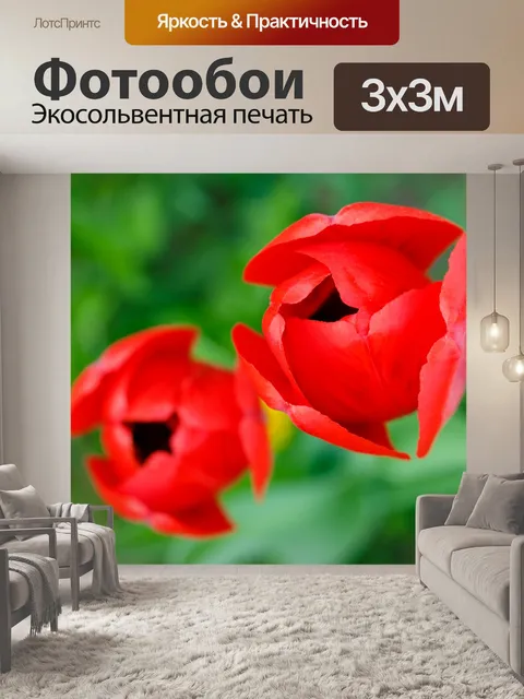 Фотообои Красные тюльпаны