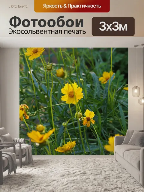 Фотообои желтые цветы клеща в грядке