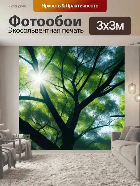 Фотообои солнце, пробивающееся сквозь кроны деревьев