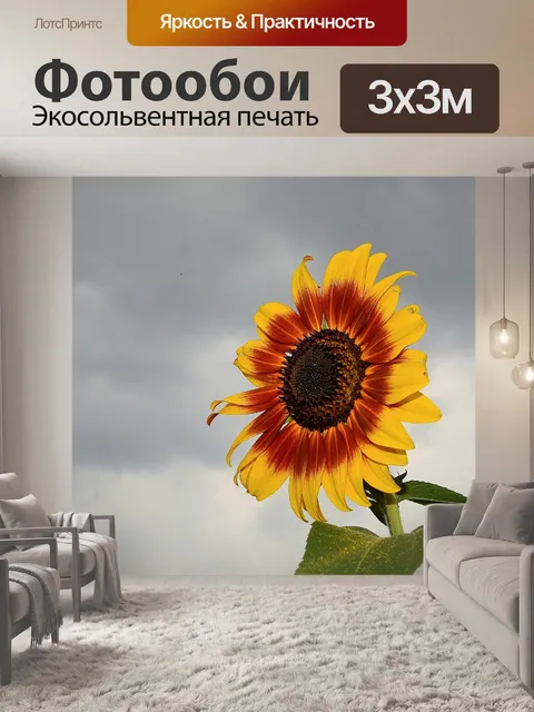 Фотообои Подсолнечник