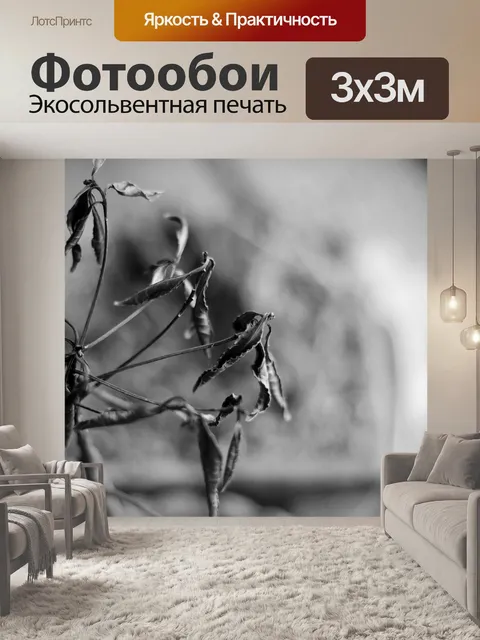 Фотообои Черное и белое