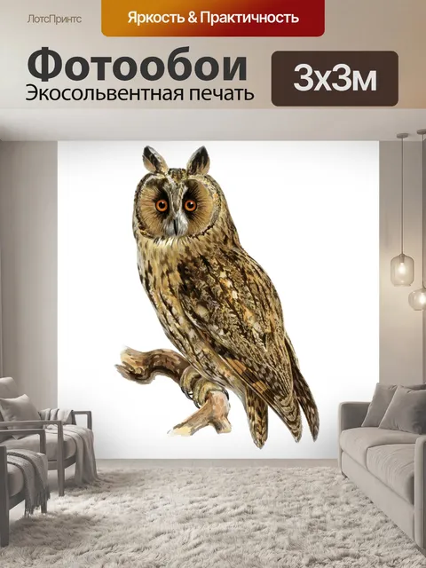 Фотообои Ушастая сова Винтаж клипарт