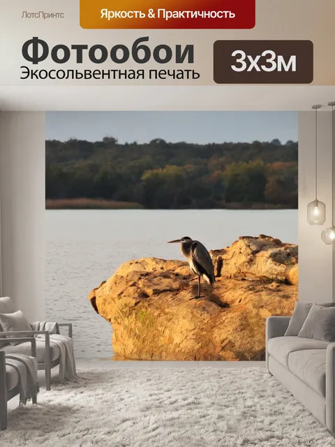 Фотообои Большая голубая цапля на скале у озера