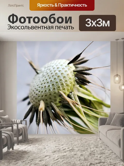 Фотообои Одуванчик