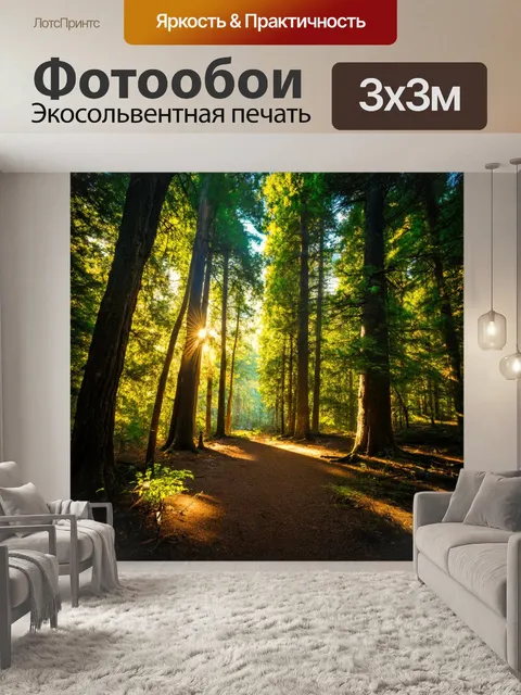 Фотообои глубина леса, где солнечные лучи пробиваются сквозь густые кроны деревьев, создавая загадочные световые…