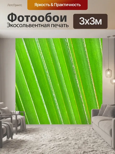 Фотообои Зеленый лист пальмы