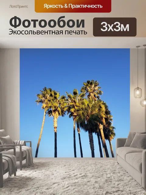 Фотообои Калифорнийские пальмовые деревья
