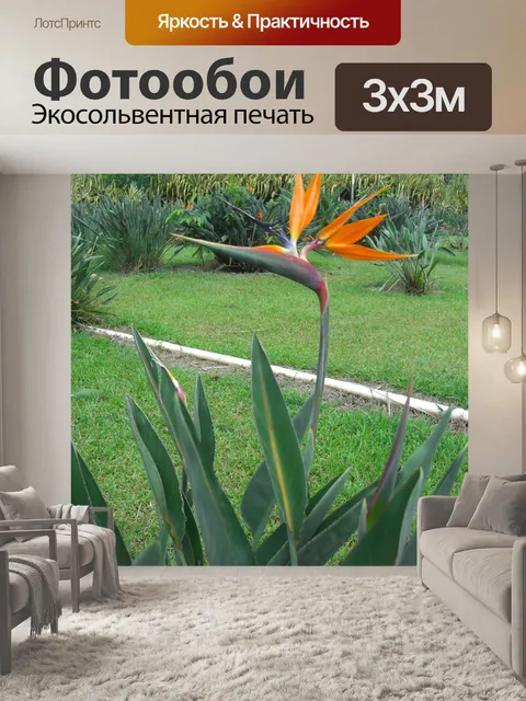 Фотообои Райская птица цветок