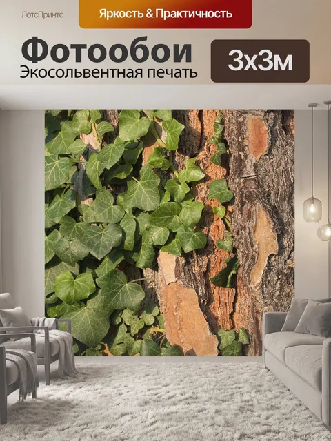 Фотообои Сосна