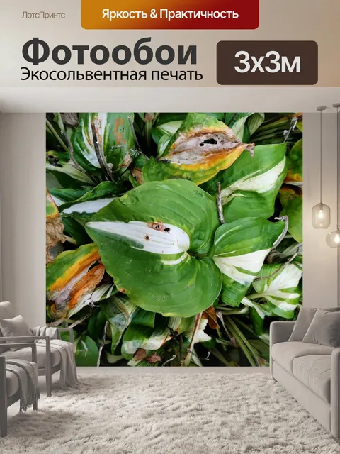 Фотообои Осенняя история Буш