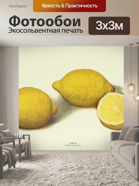 Фотообои Старинные лимоны искусство старые