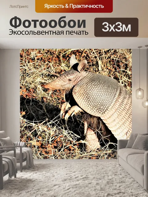 Фотообои Девятиполосый броненосец стоя