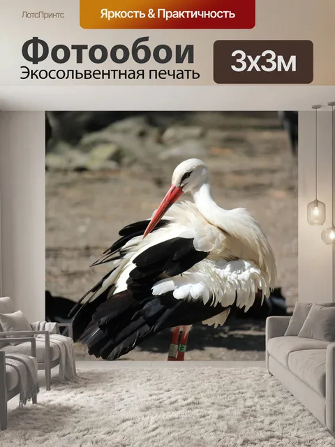 Фотообои Птица