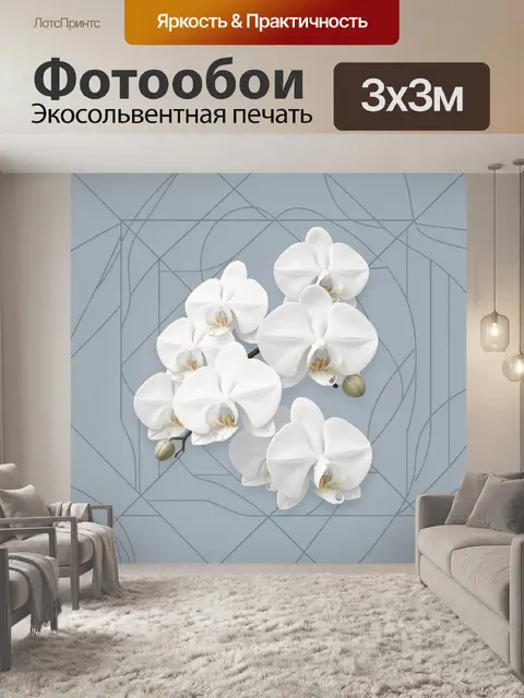 Фотообои Белые орхидеи на голубом фоне