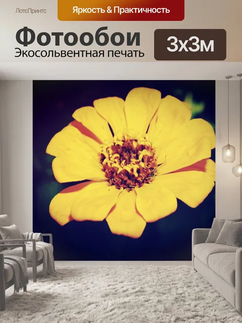Фотообои Красивый цветок