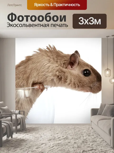 Фотообои Животное