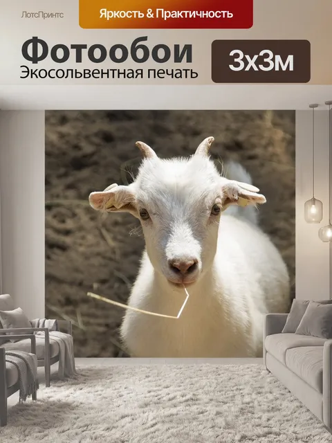 Фотообои Козленок