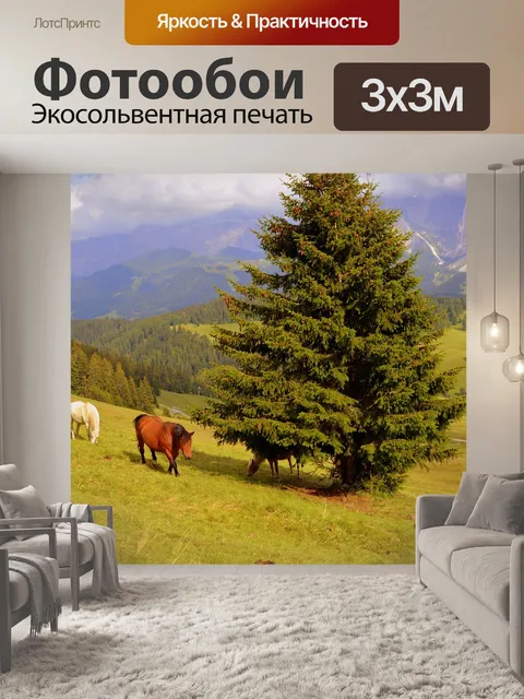 Фотообои Лошадь