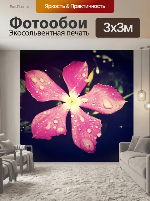 Фотообои Красивый цветок