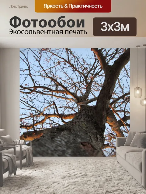 Фотообои Дерево Перспектива 8