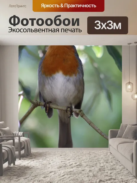 Фотообои Птицы