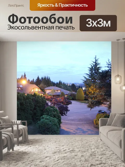 Фотообои ночное видение