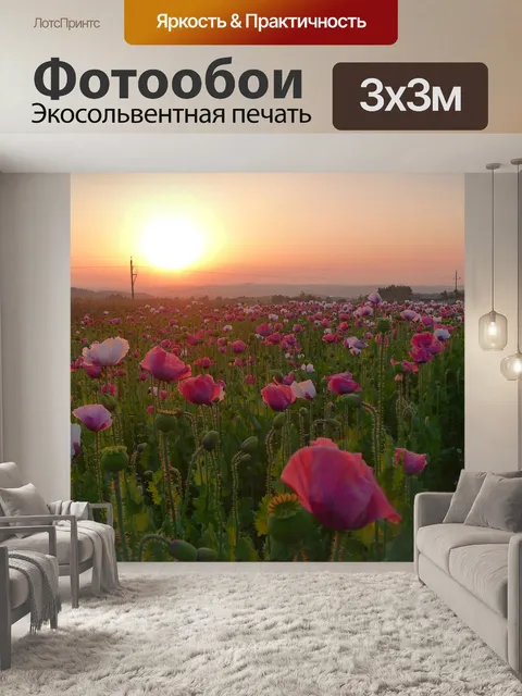 Фотообои Цветущее маковое поле