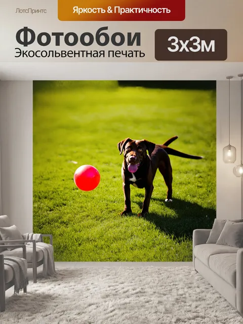 Фотообои лабрадор, играющий с ярким красным мячом на зеленом травяном поле